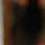cropped-095.jpg